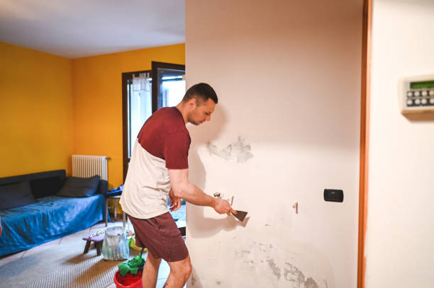 Best Fast Mold Removal  in Diand, MO