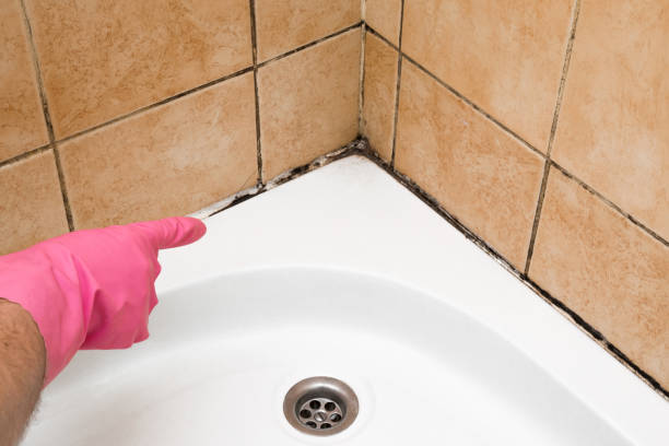Best Commercial Mold Removal  in Diand, MO